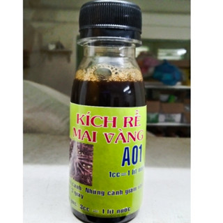 KÍCH RỄ MAI VÀNG A01 chai 100ml - kích rễ mai vàng A01 - mai vàng sắp đế - kích rễ mọi loại cây trồng