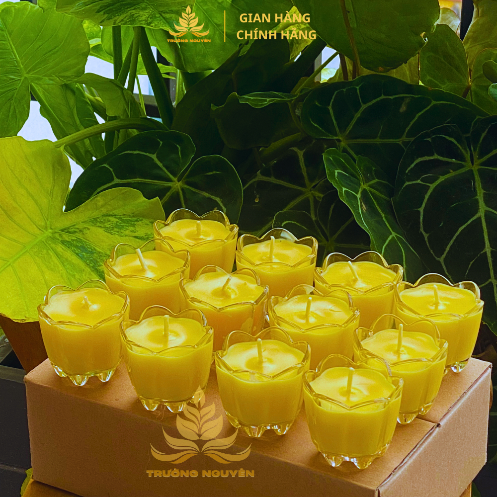 Hộp 12 Ly Nến Hoa Mai 30ml Sáp Bơ Trường Nguyên Oganic Mâm cúng, Cúng Dường, Cúng Gia Tiên, Thần Tài Cháy 8h