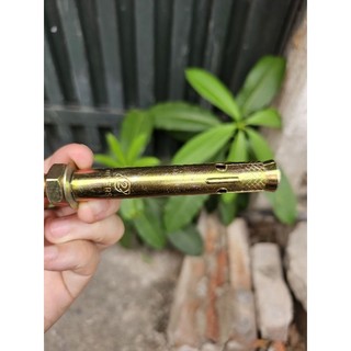 Nở Sắt 12x80 ( Combo 20 chiếc)