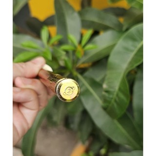 Nở Sắt 12x80 ( Combo 20 chiếc)