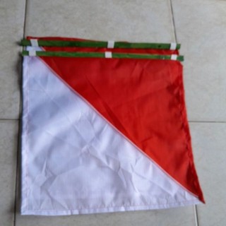 Cờ semaphore