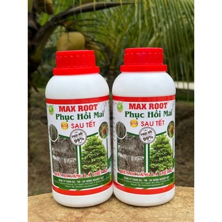 Max Root Phục Hồi Mai Sau Tết, Ra Rễ Khỏe, Lá Vàng Thành Xanh, Bung Đọt Nhanh Chóng