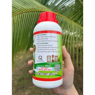 Max Root Phục Hồi Mai Sau Tết, Ra Rễ Khỏe, Lá Vàng Thành Xanh, Bung Đọt Nhanh Chóng