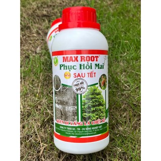 Max Root Phục Hồi Mai Sau Tết, Ra Rễ Khỏe, Lá Vàng Thành Xanh, Bung Đọt Nhanh Chóng