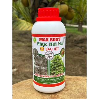 Max Root Phục Hồi Mai Sau Tết, Ra Rễ Khỏe, Lá Vàng Thành Xanh, Bung Đọt Nhanh Chóng