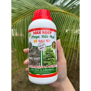 Max Root Phục Hồi Mai Sau Tết, Ra Rễ Khỏe, Lá Vàng Thành Xanh, Bung Đọt Nhanh Chóng
