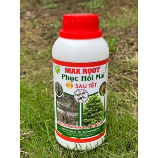 Max Root Phục Hồi Mai Sau Tết, Ra Rễ Khỏe, Lá Vàng Thành Xanh, Bung Đọt Nhanh Chóng