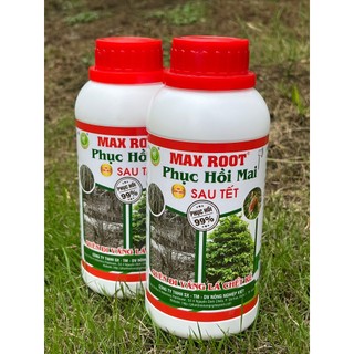 Max Root Phục Hồi Mai Sau Tết, Ra Rễ Khỏe, Lá Vàng Thành Xanh, Bung Đọt Nhanh Chóng