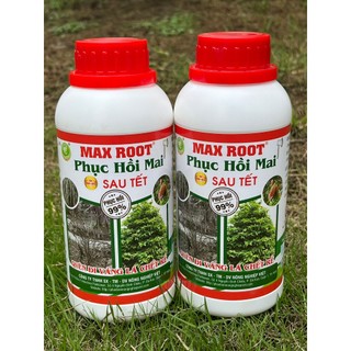 Max Root Phục Hồi Mai Sau Tết, Ra Rễ Khỏe, Lá Vàng Thành Xanh, Bung Đọt Nhanh Chóng