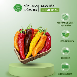 ỚT DÀI TO/ NHỎ - Ớt trái cây đủ màu - Ớt tươi ngon dùng để xào, trang trí, ớt nhồi thịt