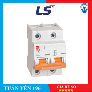 Mcb ls aptomat,cầu dao tự động bkh 2p 80a/100a/125a