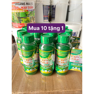Combo 10 chai mg zinc xanh lá-dày lá