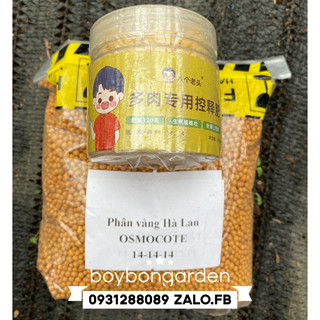 Phân vàng tan chậm cho sen đá xương rồng_🌱hàng sẵn