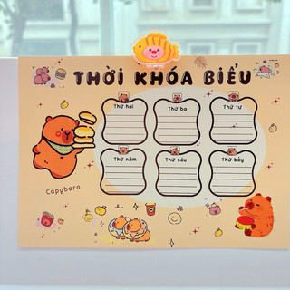 Combo 3 tờ thời khoá biểu cute