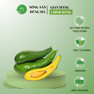 BƠ TÂY NGUYÊN siêu dẻo, siêu ngon, làm sinh tố cực bổ dưỡng, hỗ trợ giảm cân