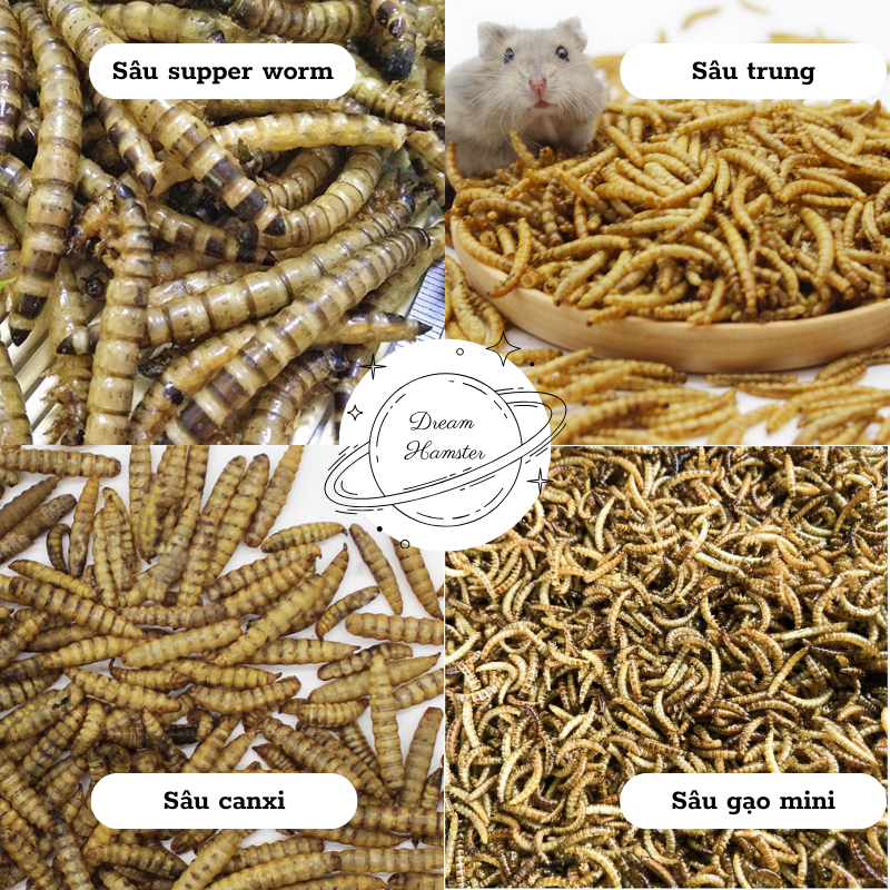Sâu gạo rang cho Hamster (mini, trung, superworm)