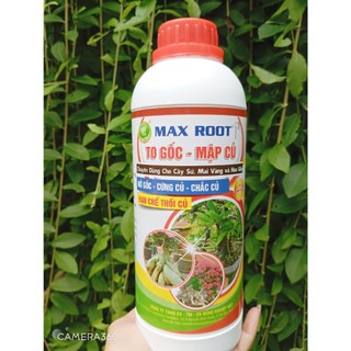 Phân bón cho cây kiểng to gốc mập củ max root chai 1 lít - cứng củ, mập củ, chắc củ, hạn chế dộp củ, thối củ