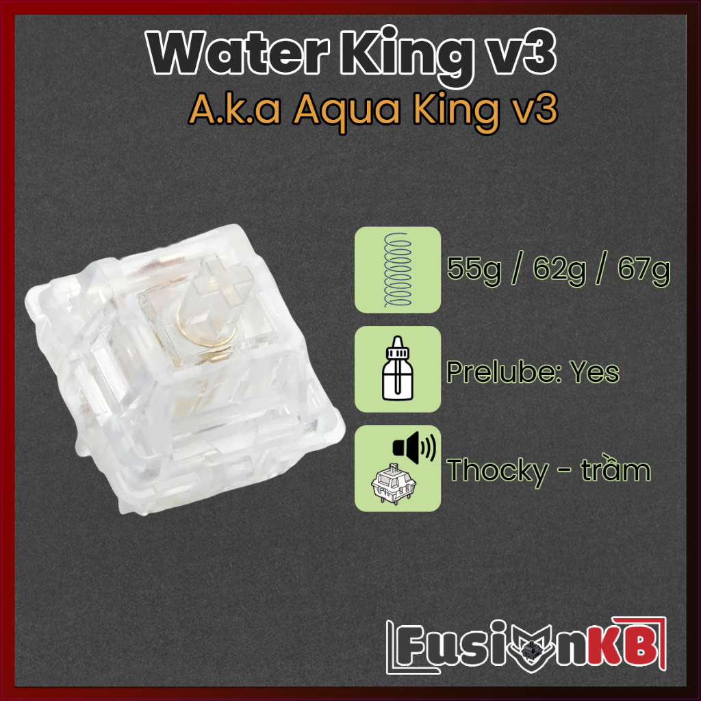 Water King v3 | Aqua King v3 | 55gr | 62gr | 67gr | Linear Switch | Công tắc bàn phím | FusionKB
