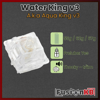 Water King v3 | Aqua King v3 | 55gr | 62gr | 67gr | Linear Switch | Công tắc bàn phím | FusionKB