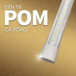 Đèn POM Cá Rồng Zako 5800K + UV