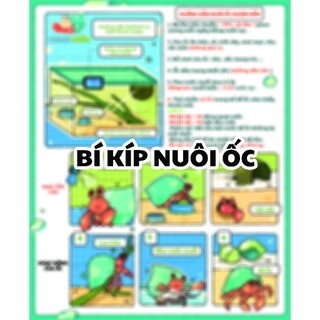 Phiếu hướng dẫn nuôi ốc mượn hồn cơ bản có kèm video hướng dẫn