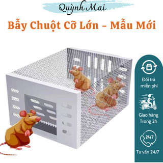 Bẫy chuột cỡ lớn mẫu mới lồng bắt chuột hoàn toàn tự động - bẫy bắt chuột sống hiệu quả