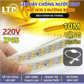 [Mua 10m Tặng Nguồn] Đèn led dây 220v ngoài trời chống nước chip 2835 chuyên dùng quấn cây