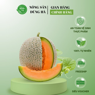 Dưa lưới Taki ruột vàng - Dưa ngọt, vỏ mỏng