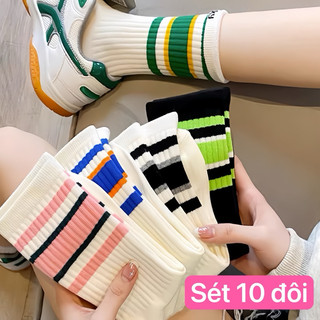 Combo 10 đôi tất trơn cổ cao vớ cotton cổ cao nữ hàn quốc gân trơn 5 màu