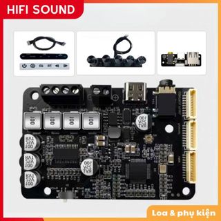 Mạch dsp khuếch đại âm thanh eiffelton 2x40w , eiffelton cảm ứng, eiffelton chiết áp bluetooth dsp từ hifi sound