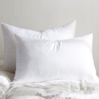 Ruột Gối Đầu (kt 50x70cm)