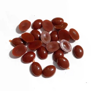mắt búp bê oval mắt thú oval mắt dan búp bê nhiều size