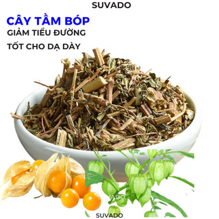 Cây Tầm Bóp khô cây thù lù cây lồng đèn bôm bốp cây anh đào đất thơm đã làm sạch không vụn TB SUVADO