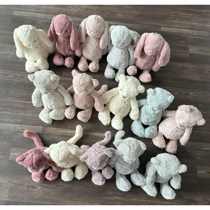 Mèo Jamie kay xuất Anh xịn 100% size Mid