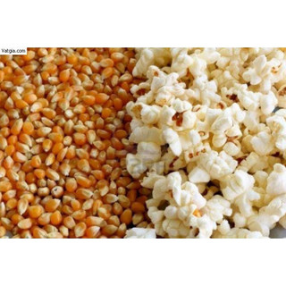 1kg Ngô nổ Mỹ