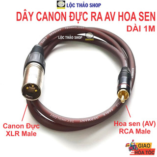 Dây canon đực ra av hoa sen dài 1m - dây canon av - dây av ra canon đực - xlr male to rca male