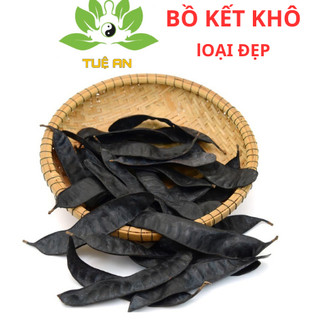  Quả bồ kết khô gội đầu xông nhà quả to đẹp mẩy Trái bồ kết chọn từng quả không mọt 