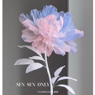 Set nguyên liệu cây hoa vải voan poppy khổng lồ