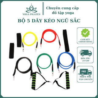 Bộ 5 Dây Kéo Ngũ Sắc 11 phụ kiện cao cấp đa năng tập gym full body đàn hồi chịu lực tốt móc nối và dây cầm chắc chắn