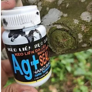 Keo liền da cây mai/hoa hồng/ sứ nano bạc 100g - keo liền sẹo cây nano bạc