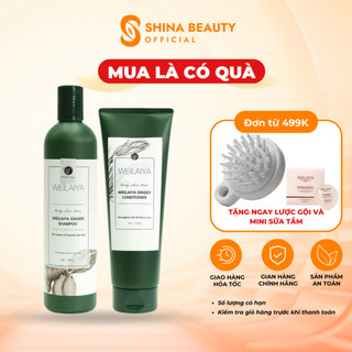 Bộ dầu gội Weilaiya tinh chất gừng kích mọc tóc, cặp dầu gội đầu và dầu xả thảo dược Weilaiya ngăn rụng tóc sạch gàu