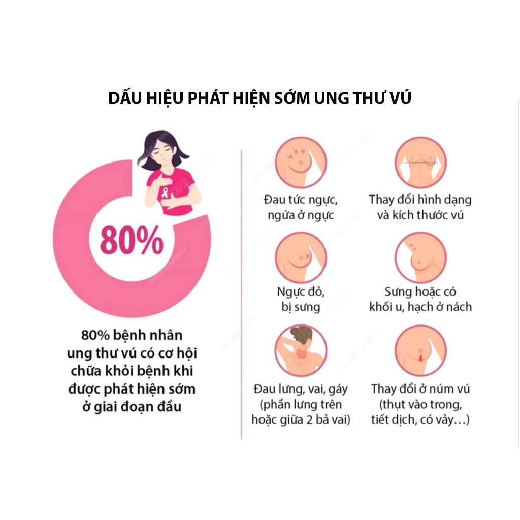 Kem Thảo Dược Tan Rã U Bứu Tuyến Vú Senjoko Nhật Bản - Kem Bôi Tan U Vú Chống Tích Tụ Vùng Ngực, U Bứu Cứng Nhật Bản