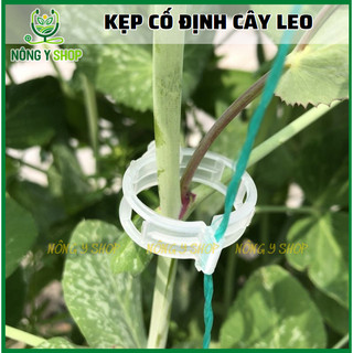 1 Kẹp Khoanh Tròn Cố Định Cành Cây Cứng Và Dây Leo, cố định dây cà chua, dưa leo, đai kẹp cành