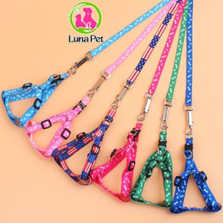 Dây dắt chó mèo đi dạo - Dây dắt kèm yếm ngực nhiều màu sắc cho thú cưng