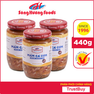 3 Hũ Mắm Nêm Cá Cơm Sông Hương Foods Hũ 440g - Chấm gỏi cuốn, bún , thịt luộc , tốt tiêu hóa