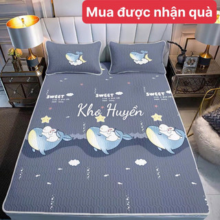 Chiếu Điều Hòa Cao Su Non Latex 5D New 2024 - Chiếu 5d cao su non siêu mát tặng kèm 2 vỏ gối