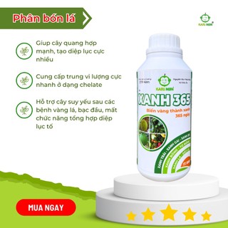 Xanh 365 - giúp xanh cây tốt lá hạn chế vàng lá