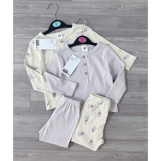 Set 2 bộ tăm tím VNXK