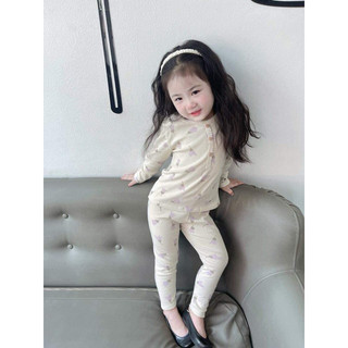 Set 2 bộ tăm tím VNXK