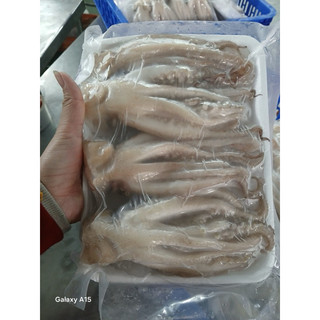 Đầu Mực Lá Đại Dương tươi ngon 500g (giao tphcm)